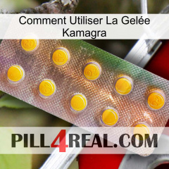 Comment Utiliser La Gelée Kamagra new11